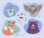 Your Guide to Recognizing and Benefiting from Your Spirit Animal